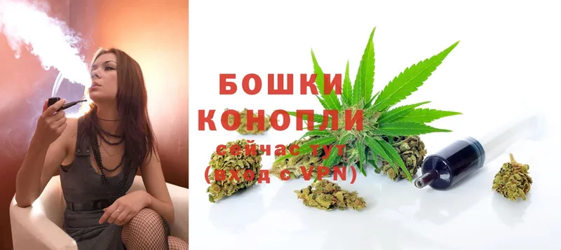 Бошки Шишки OG Kush  Жиздра 